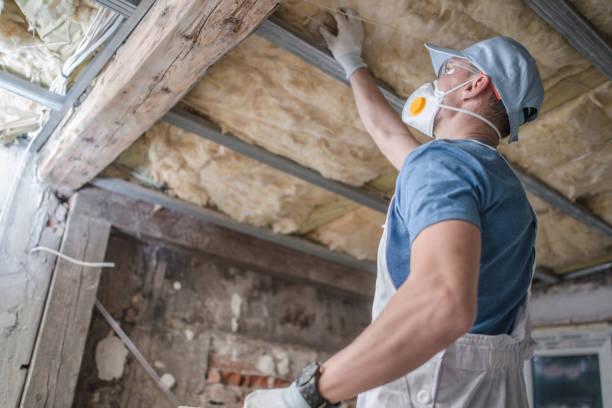 Best Geographic-Specific Insulation Services in Merced, CA